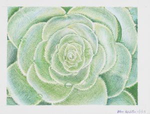 painting on canvas still life succulent cactus